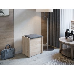 пуф Чикаго тип 1